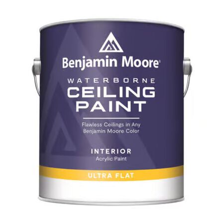 Benjamin Moore Flat Base 1 Ceiling Paint Interior 1 gal