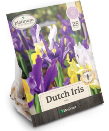 Plant DeGroot Iris Dutch Mix Bulb 25pk
