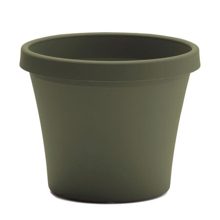 Bloem Terra 12.75 in. H X 15 in. W Resin Traditional Planter Living Green