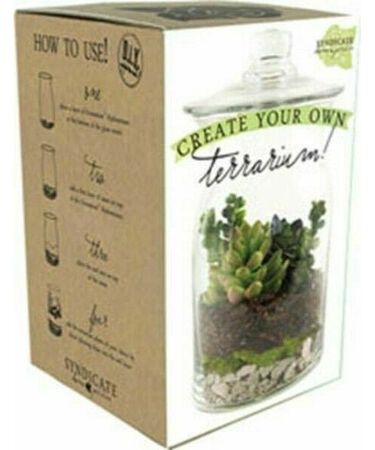 Terrarium DIY Kit