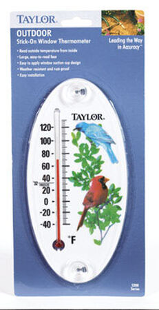 Taylor Bird Design 8-1/2 in. Tube Thermometer Multicolors Outdoor