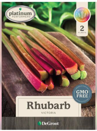 Plant DeGroot Victoria Rhubarb Bulb 2 pk