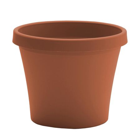 Bloem Terra 7.25 in. H X 6 in. W X 8.5 in. D Resin Traditional Planter Terra Cotta