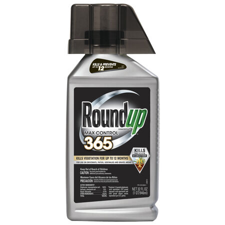 Roundup Max Control 365 Weed Control Concentrate 32 oz