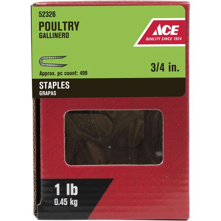 Ace .25 in. W X 3/4 in. L Galvanized Steel Poultry Staples 1 lb.