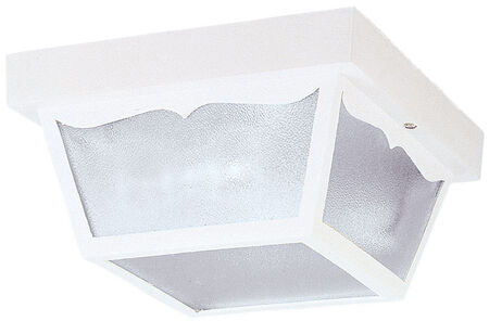 Westinghouse 2 lights White Outdoor Ceiling Fixture