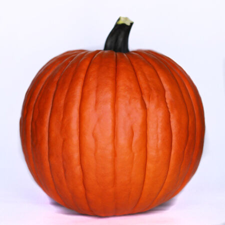 Classic Orange Pumpkin