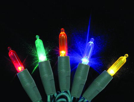 Celebrations Platinum Mini LED Light Set On A Reel Multicolored 24-1/2 ft. 50 lights