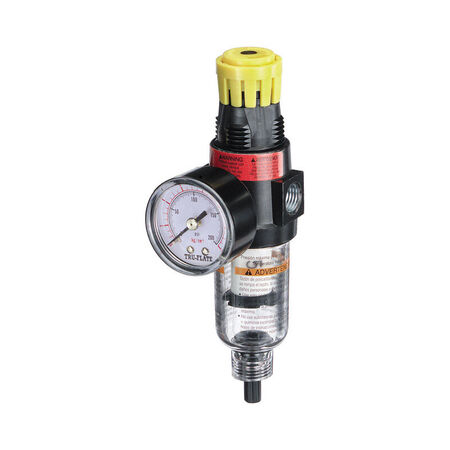 Tru-Flate Plastic Filter and Regulator with Gauge 1/4 in. NPT 250 psi 1 pc