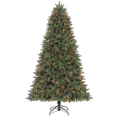 Christmas Trees Stine Home Yard The Family You Can Build Around