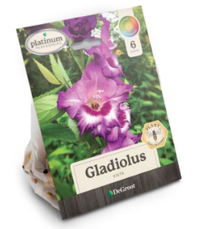 Plant DeGroot Gladiolus Bulb Mixed 6pk Annuals