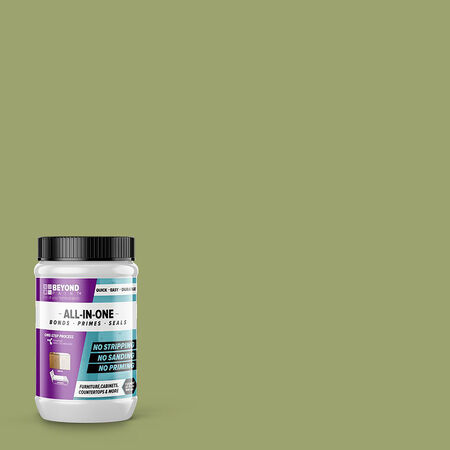 Beyond Paint Matte Sage Water-Based Paint Exterior & Interior 1 qt