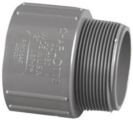 Charlotte Pipe 1/2 in. Slip X 1/2 in. D MPT PVC Adapter 1 pk