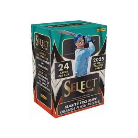 Panini Baseball Trading Cards 24 Pack