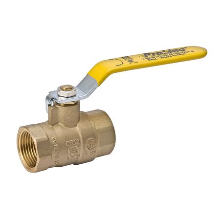 Mueller Ball Valve 1-1/2 in. FPT x 1-1/2 in. Dia. FPT Brass Packing Gland
