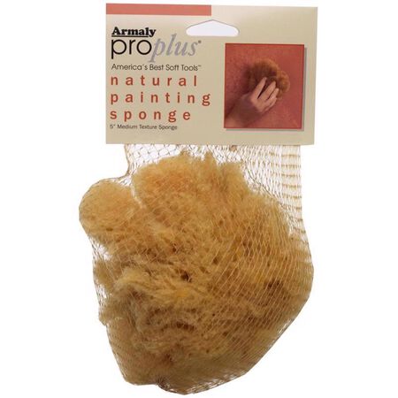 Armaly ProPlus 5 in. W X 4.5 in. L Beige Natural Sponge Painting Sponge