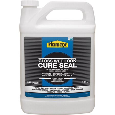 Homax Cure Seal Gloss Clear Water-Based Sealer 1 gal