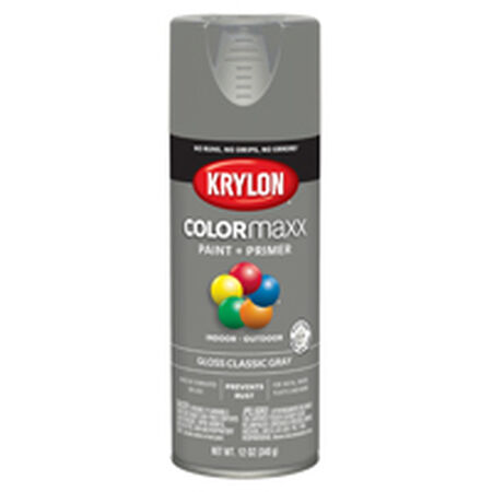 Krylon COLORmaxx K05513007 Spray Paint