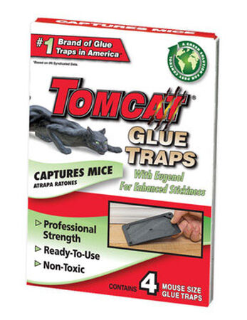 Tomcat Small Plastic Mouse Trap