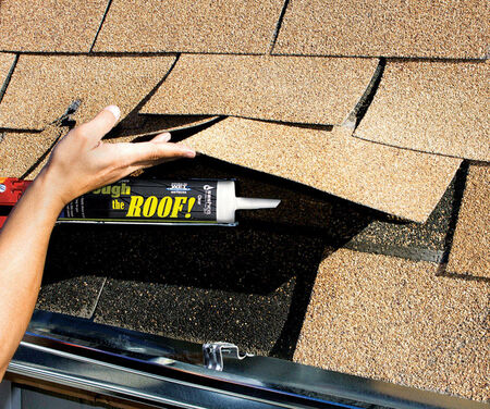 Sashco Through The Roof Clear Elastomeric Roof Sealant 10.5 oz.