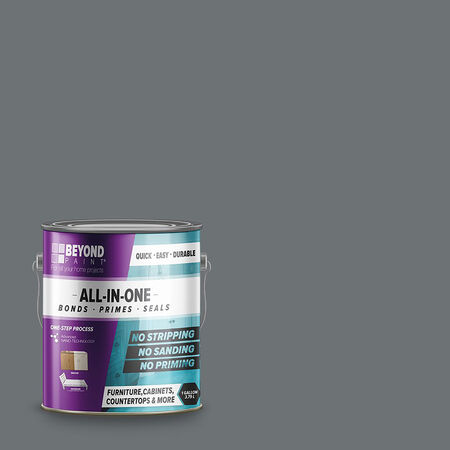 Beyond Paint Matte Pewter Water-Based Paint Exterior & Interior 1 gal