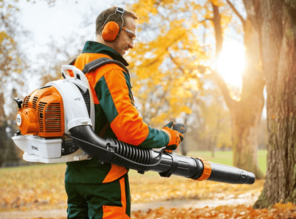 Leaf Blowers Img