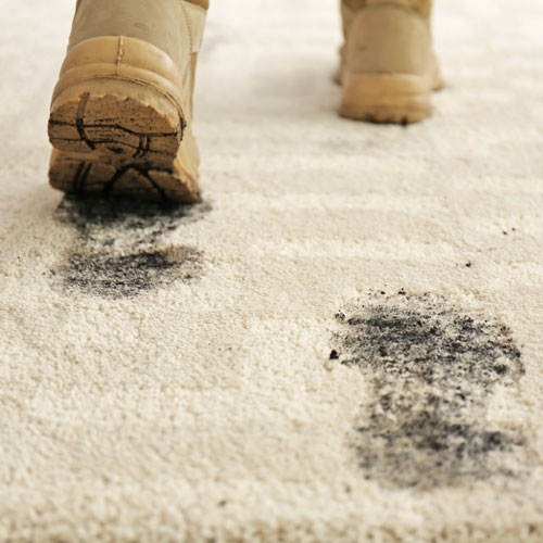 Advantages vs. Disadvantages of Carpet