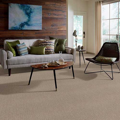 Polyester carpet in living room