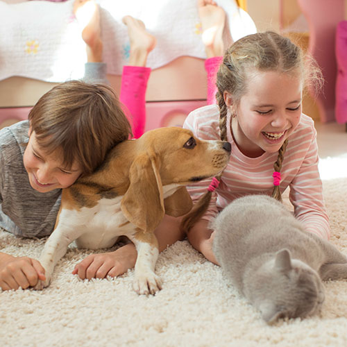 Kids laying on plush carpet