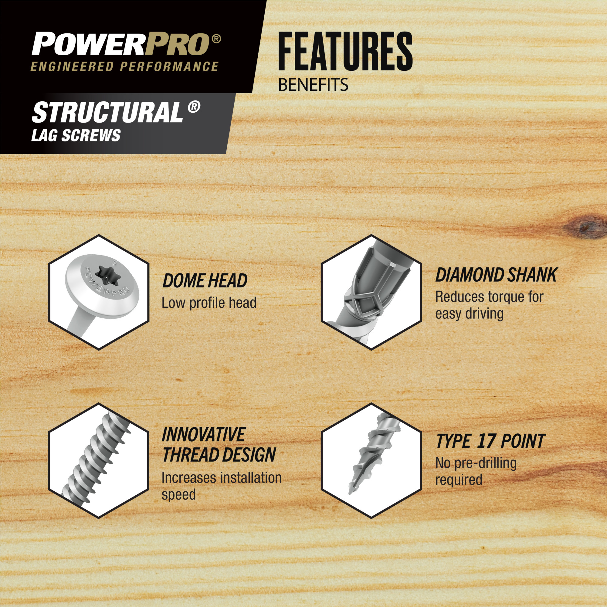 Power Pro 316SS Stainless Steel Structural Lag Screws (5/16 in. x 4 in.) - 1pc