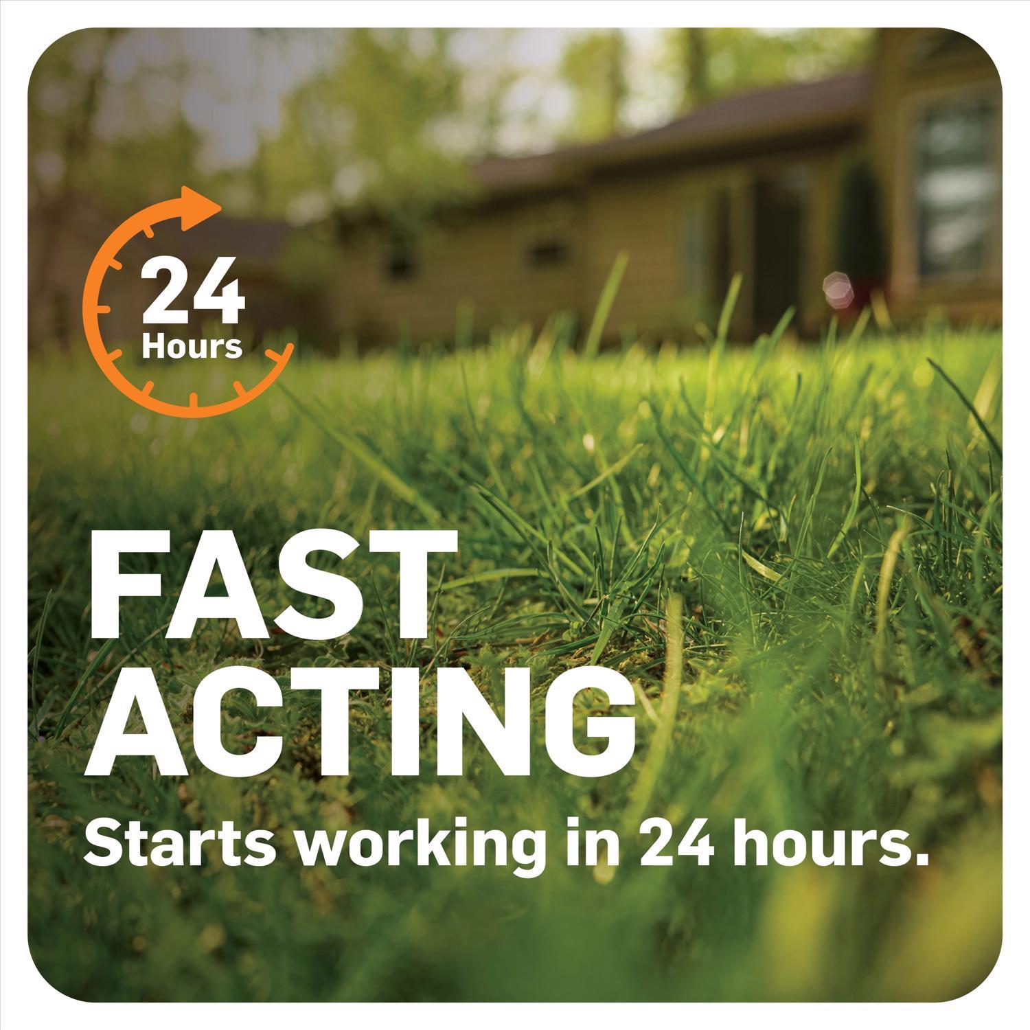 Scotts DiseaseEx Granules Lawn Fungicide 10 lb