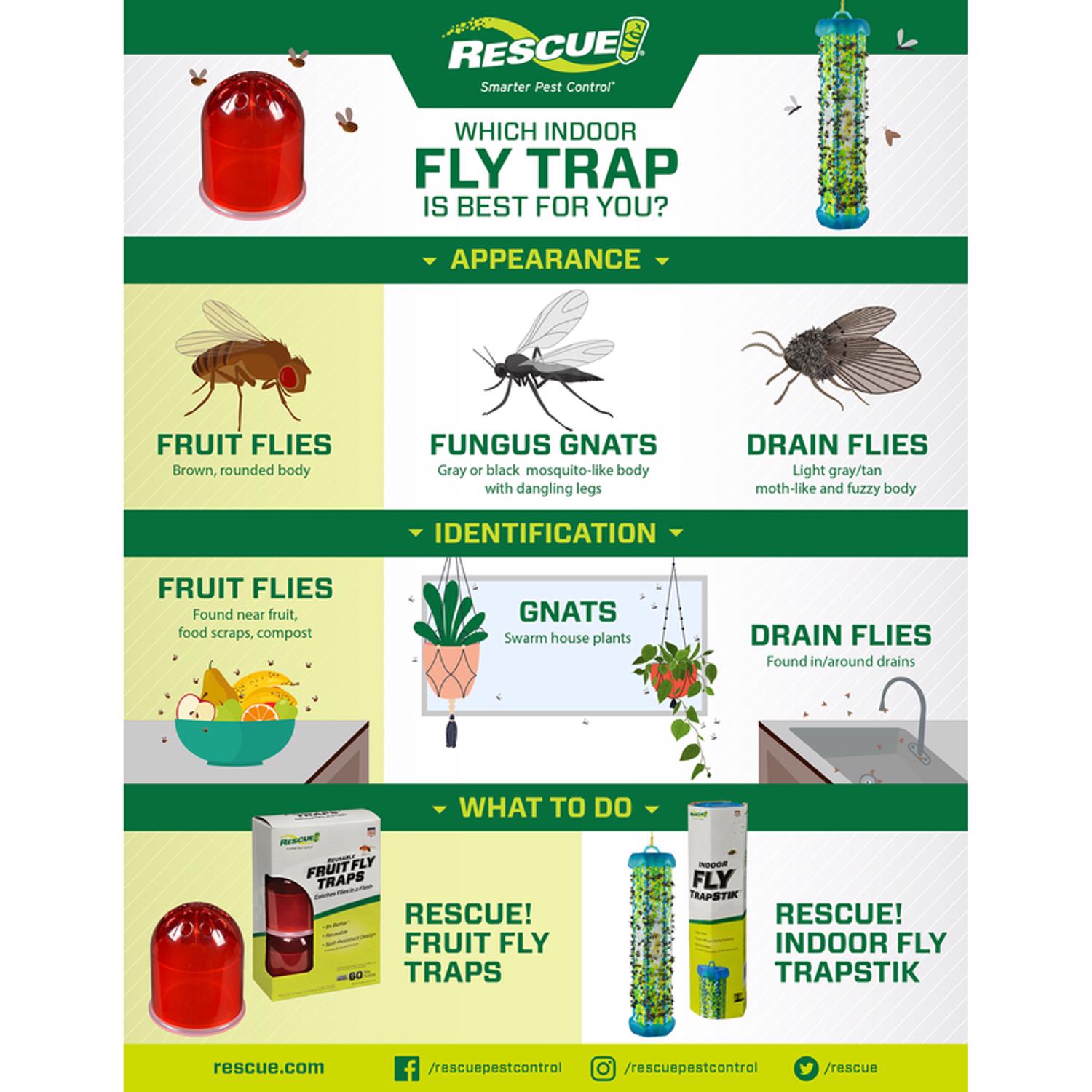 RESCUE Fruit Fly Trap 0.68 oz