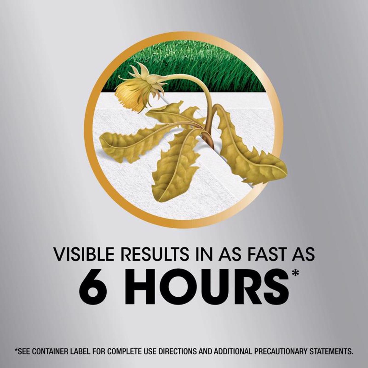 Roundup Weed and Grass Killer RTU Liquid 1 gal