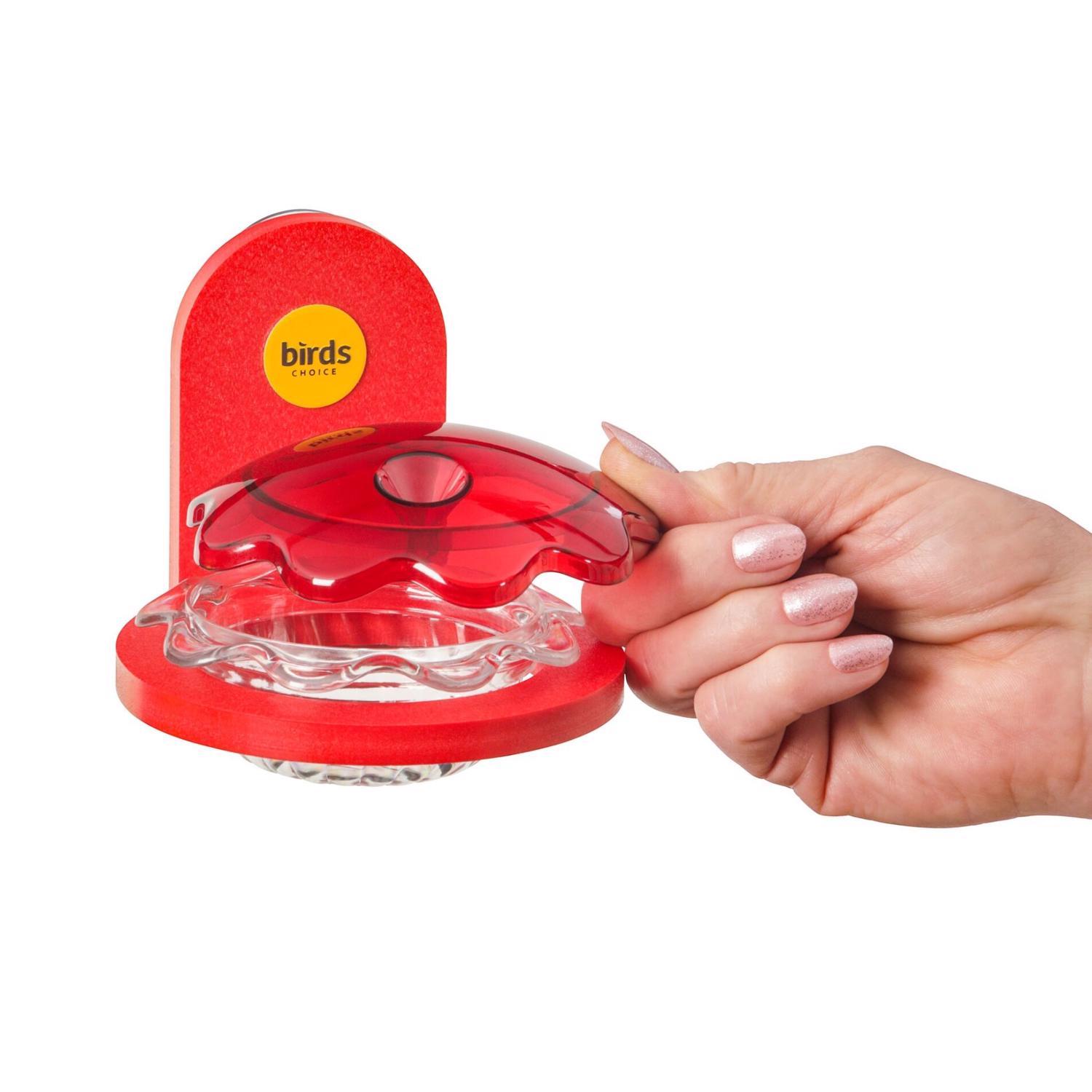 Birds Choice Hummingbird 3.5 oz Plastic Window Bird Feeder