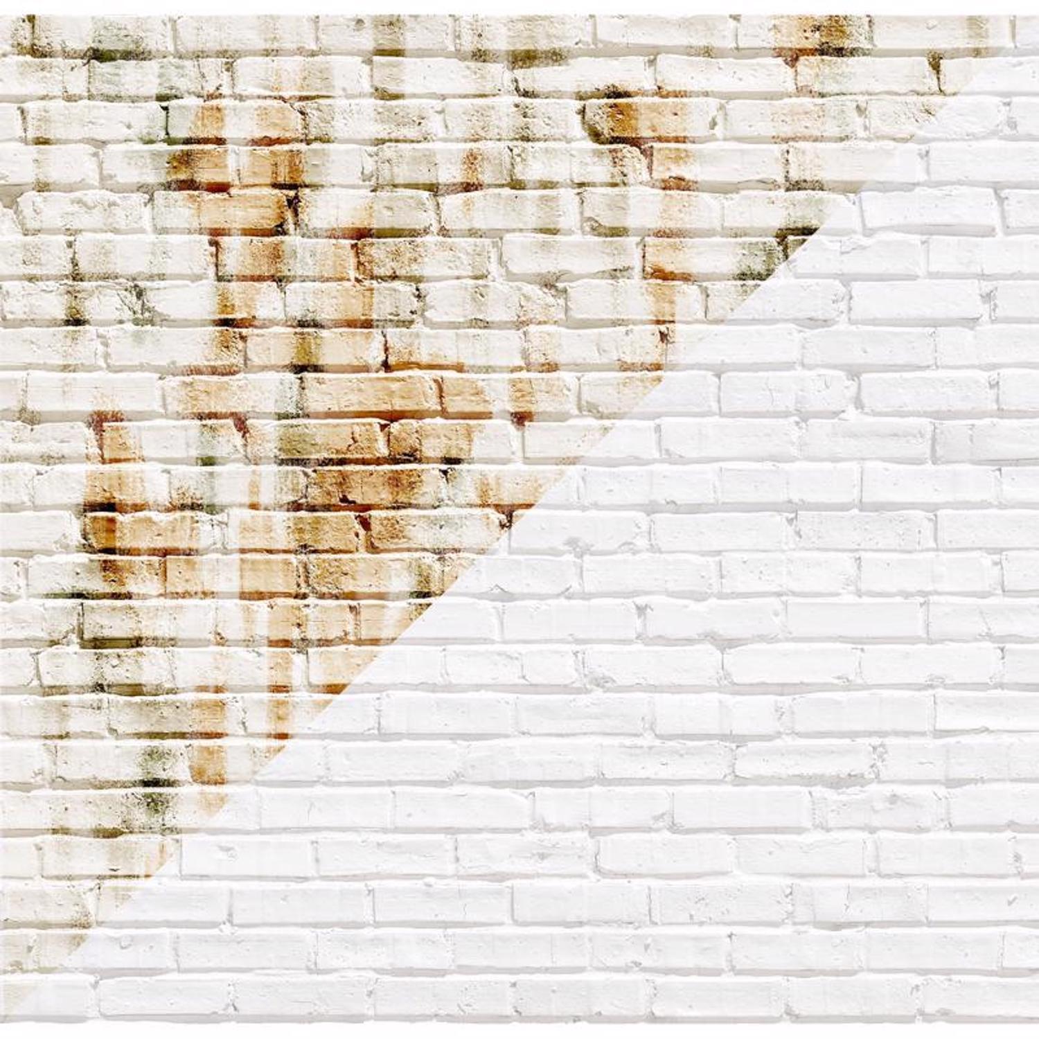 Drylok White Bonding Primer 1 gal