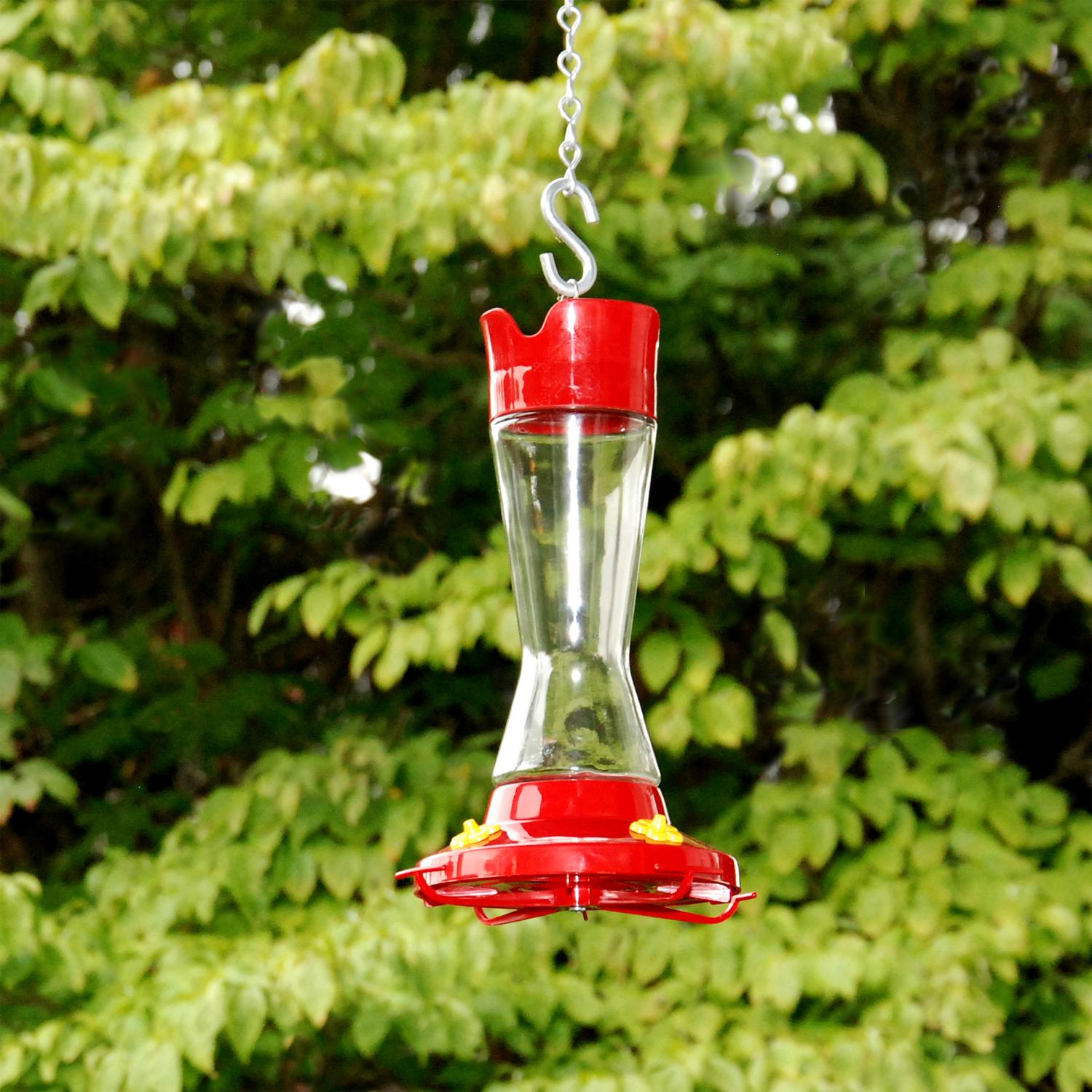 Perky-Pet Hummingbird 16 oz Glass/Plastic Pinch Waist Nectar Bird Feeder 4 ports