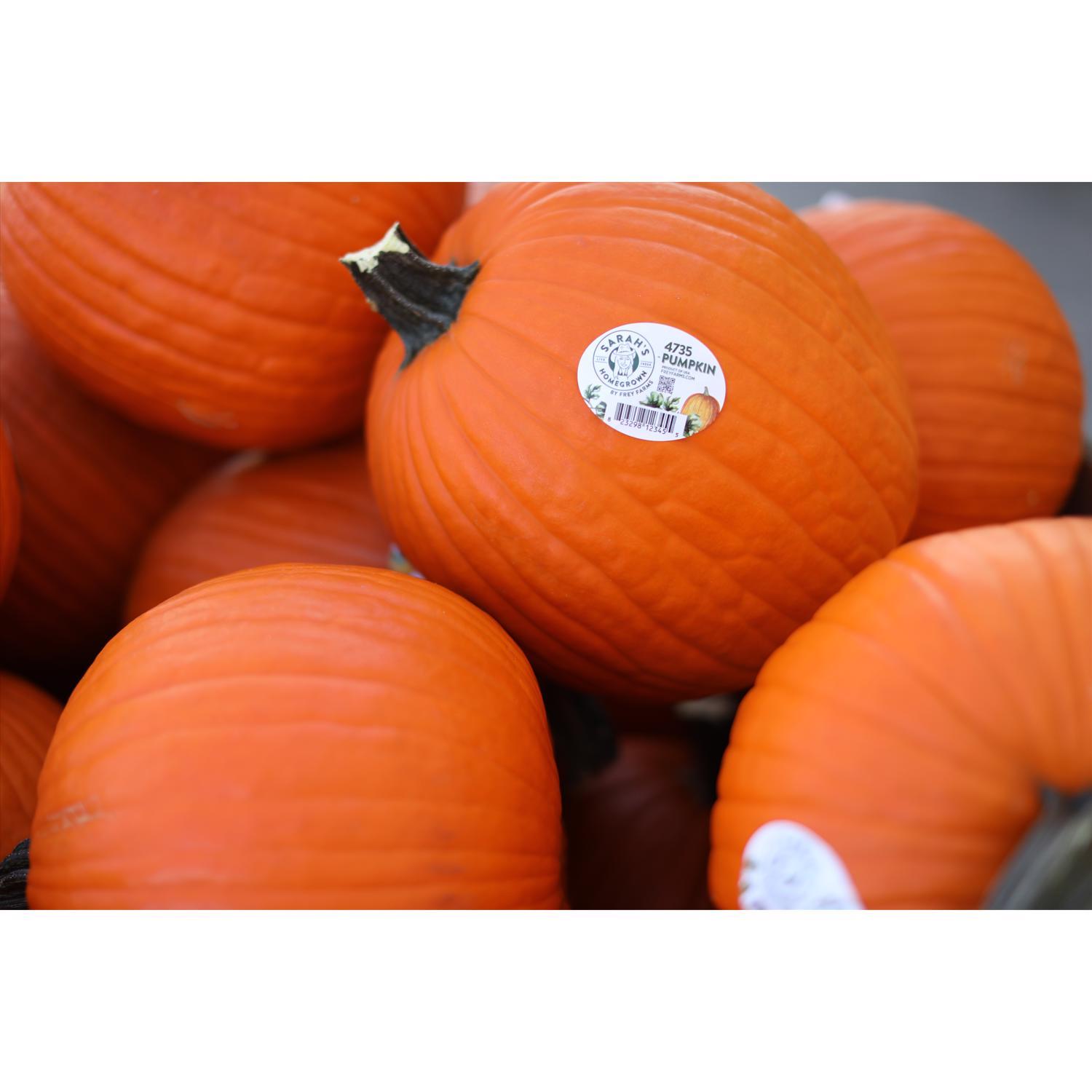 Frey Farms Sarah's Home Grown Orange Pumpkin