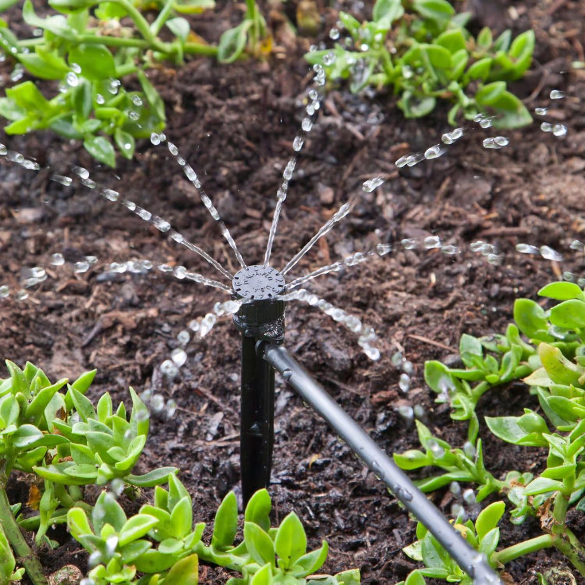 Raindrip Full-Circle Drip Irrigation Bubbler 13 gph 1 Pack