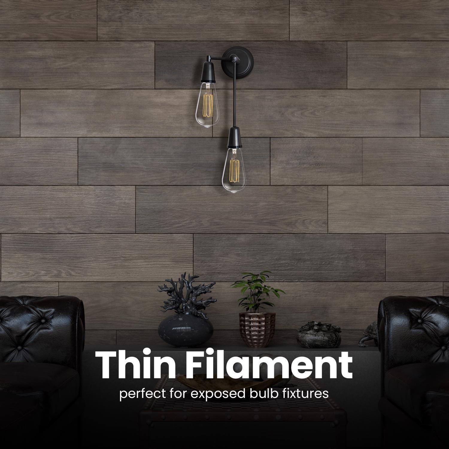 Feit ST19 E26 (Medium) Filament LED Bulb Soft White 40 Watt Equivalence 2 pk