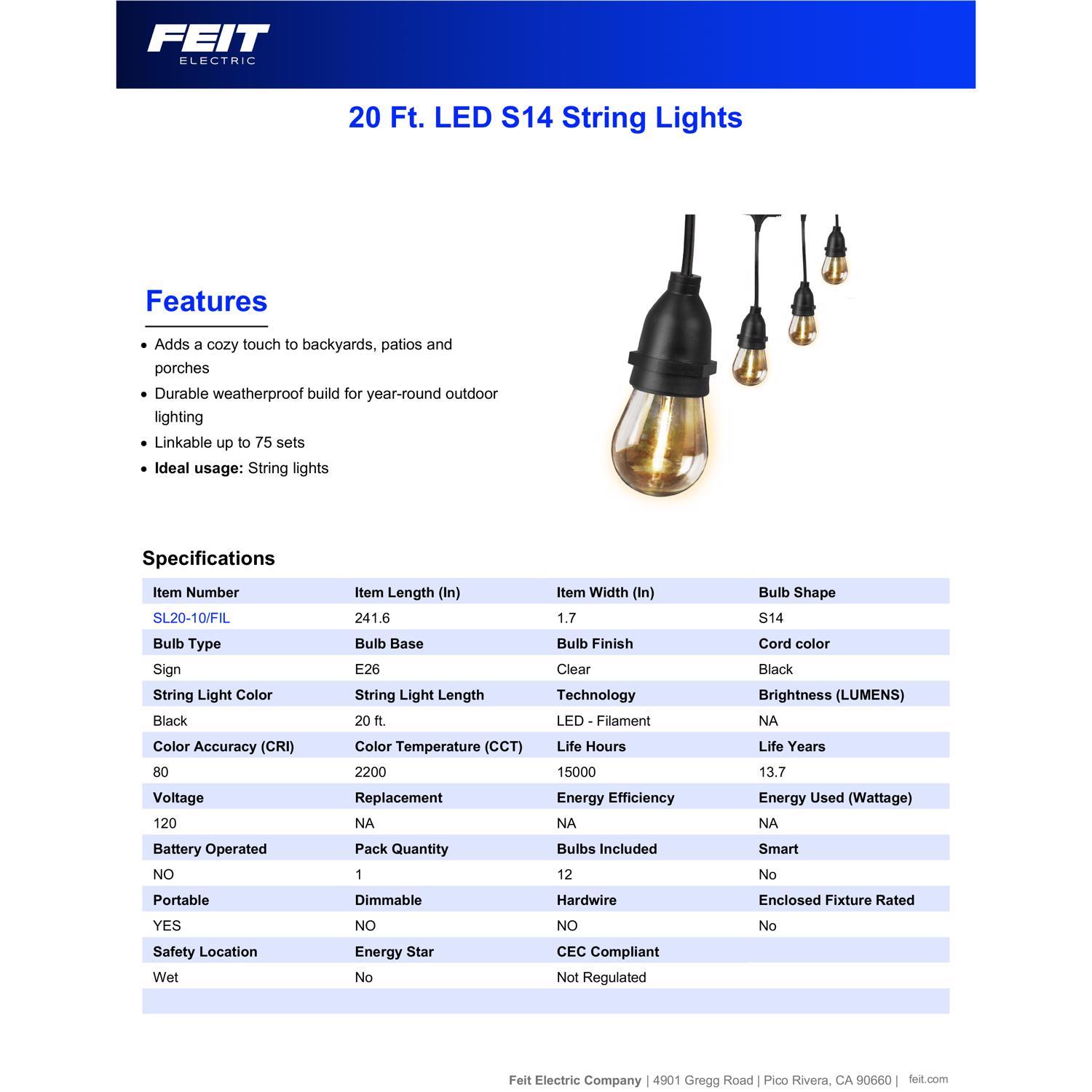 Feit LED Edison LED Light String Clear 20 ft. 10 lights