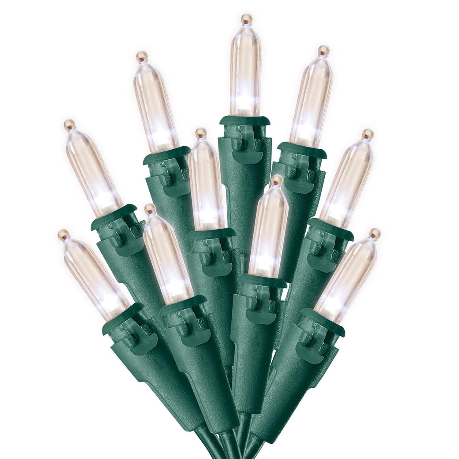 Celebrations Blue LED Mini Warm White 50 ct String Christmas Lights 12 ft.