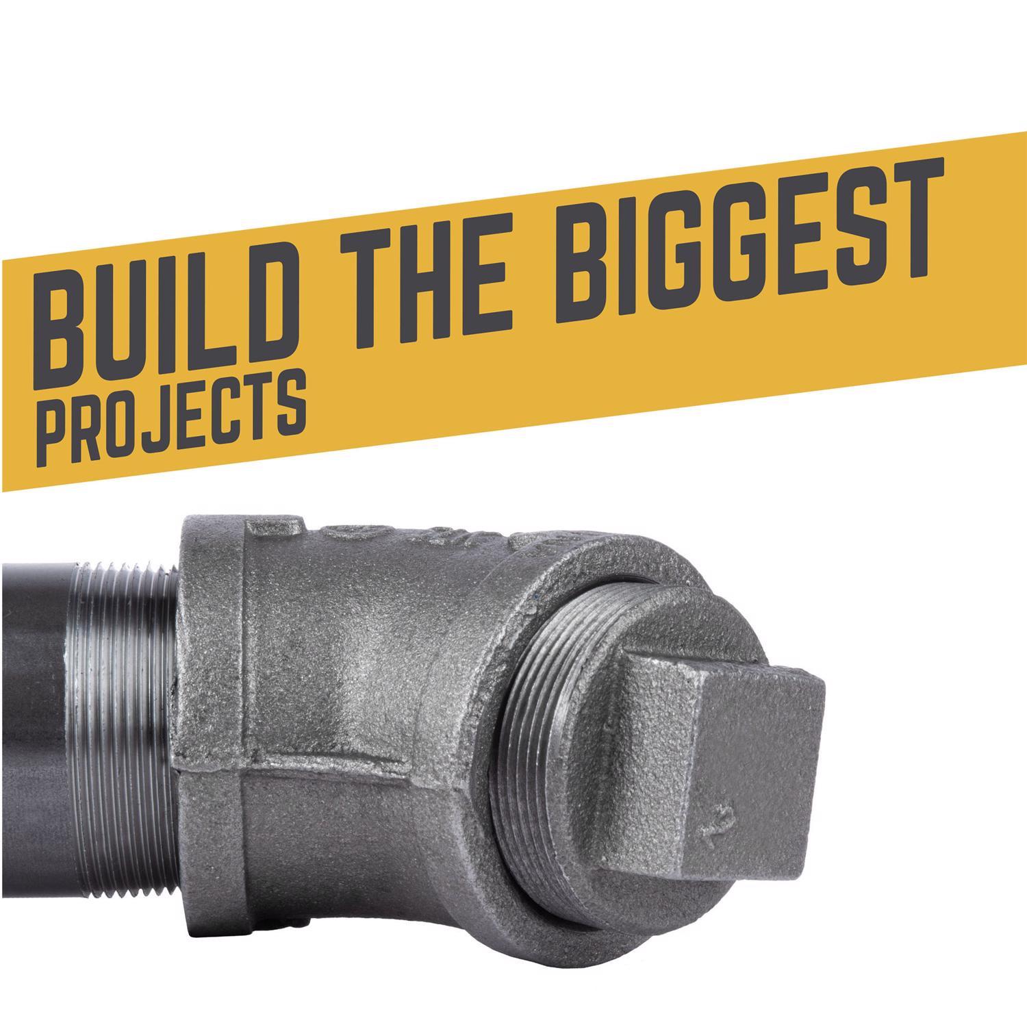 STZ Industries 2 in. MIP each Black Malleable Iron Plug