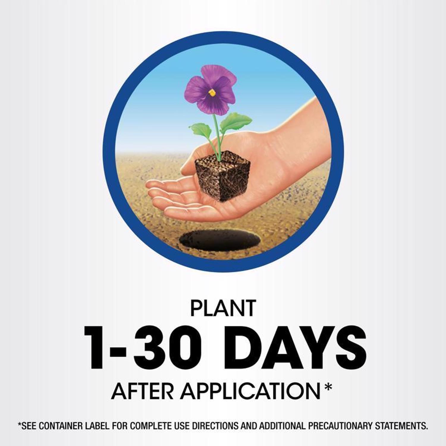 Roundup Weed and Grass Killer Concentrate 1 gal