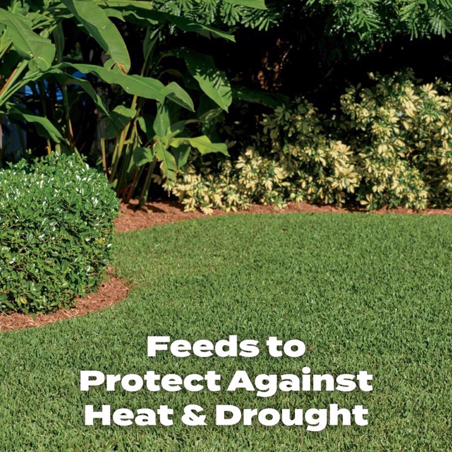 Scotts Turf Builder Southern All-Purpose Southern Lawn Food For All Grasses 10000 sq ft