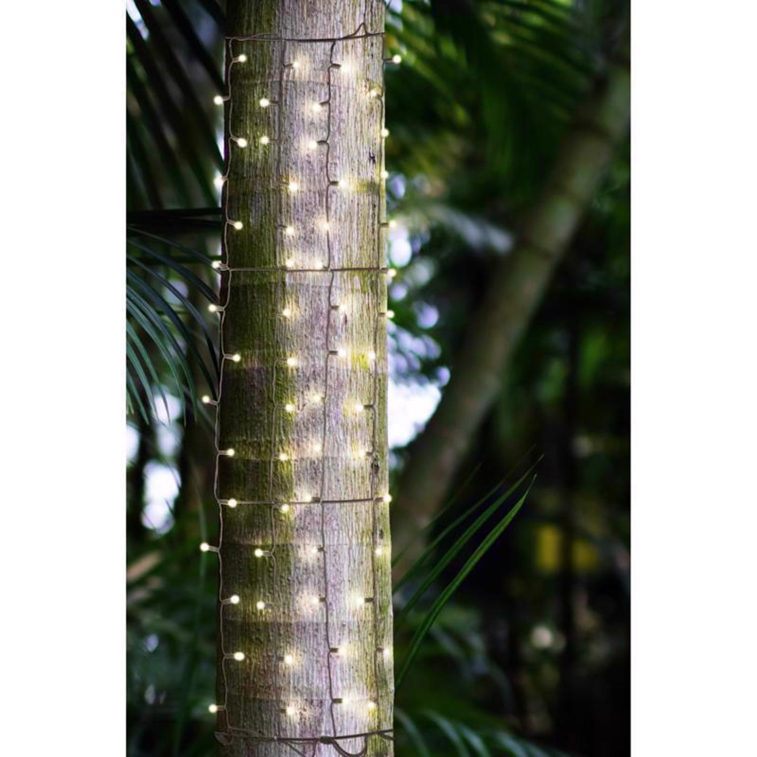 Celebrations Platinum LED Mini Warm White 100 ct Net Christmas Lights 6 ft.