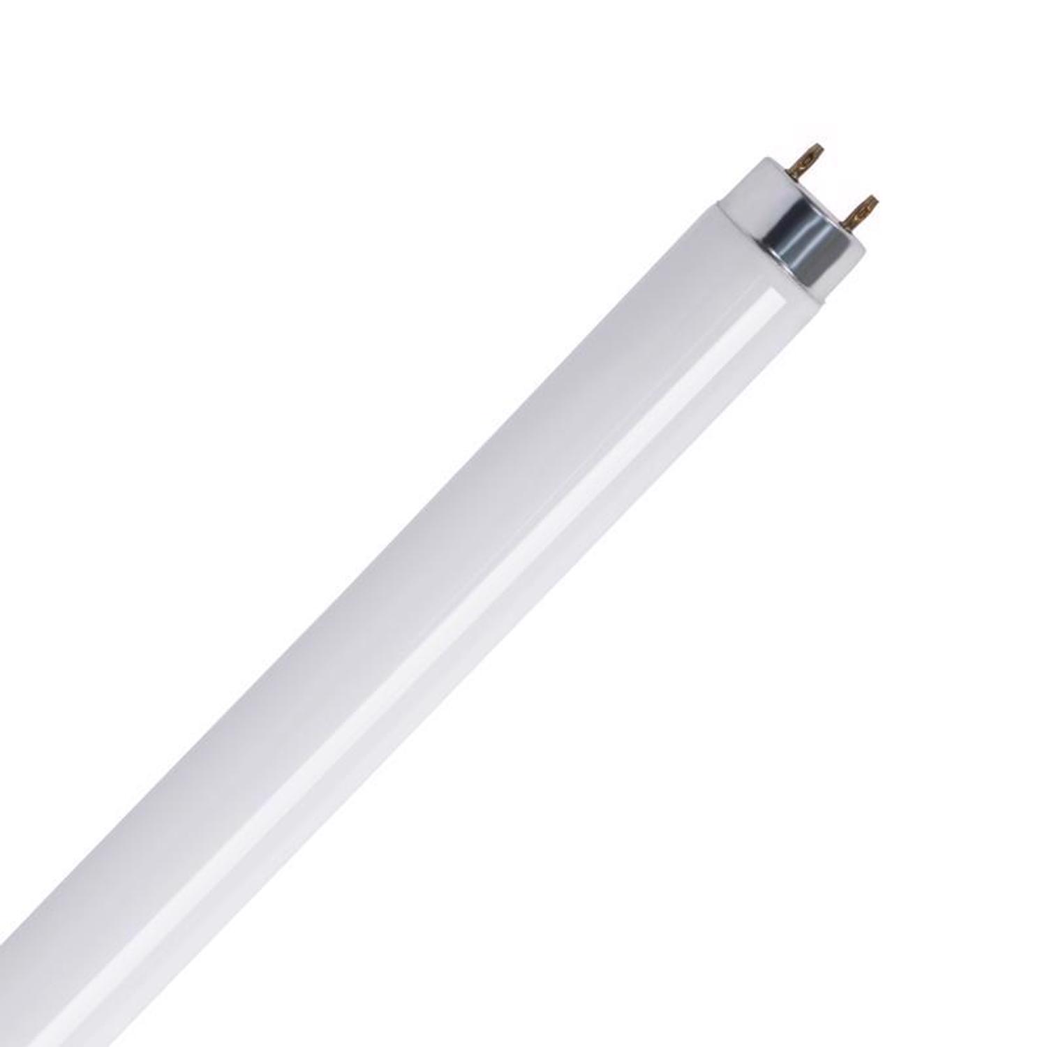 Feit Legacy Bulbs 15 W T8 1.1 in. D X 17.7 in. L Fluorescent Bulb Cool White Linear 4100 K 1 pk