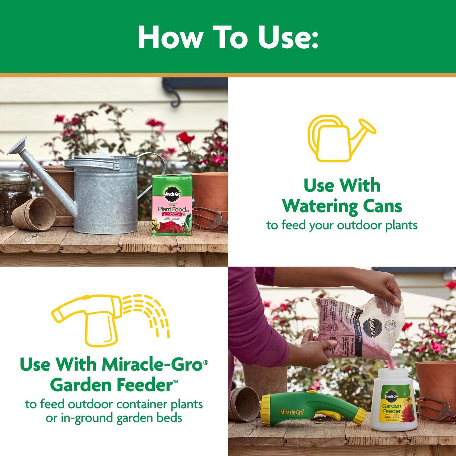 Miracle-Gro Powder Rose Plant Food 1.5 lb
