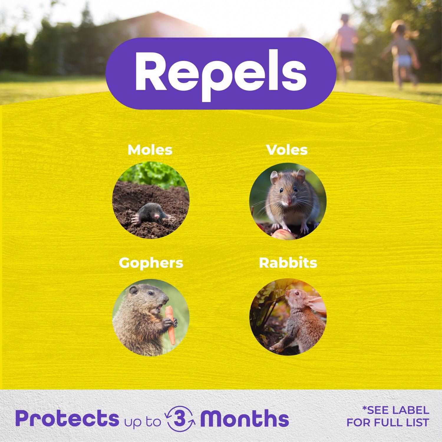 Bonide MoleMax Animal Repellent Granules For Moles and Voles 10 lb