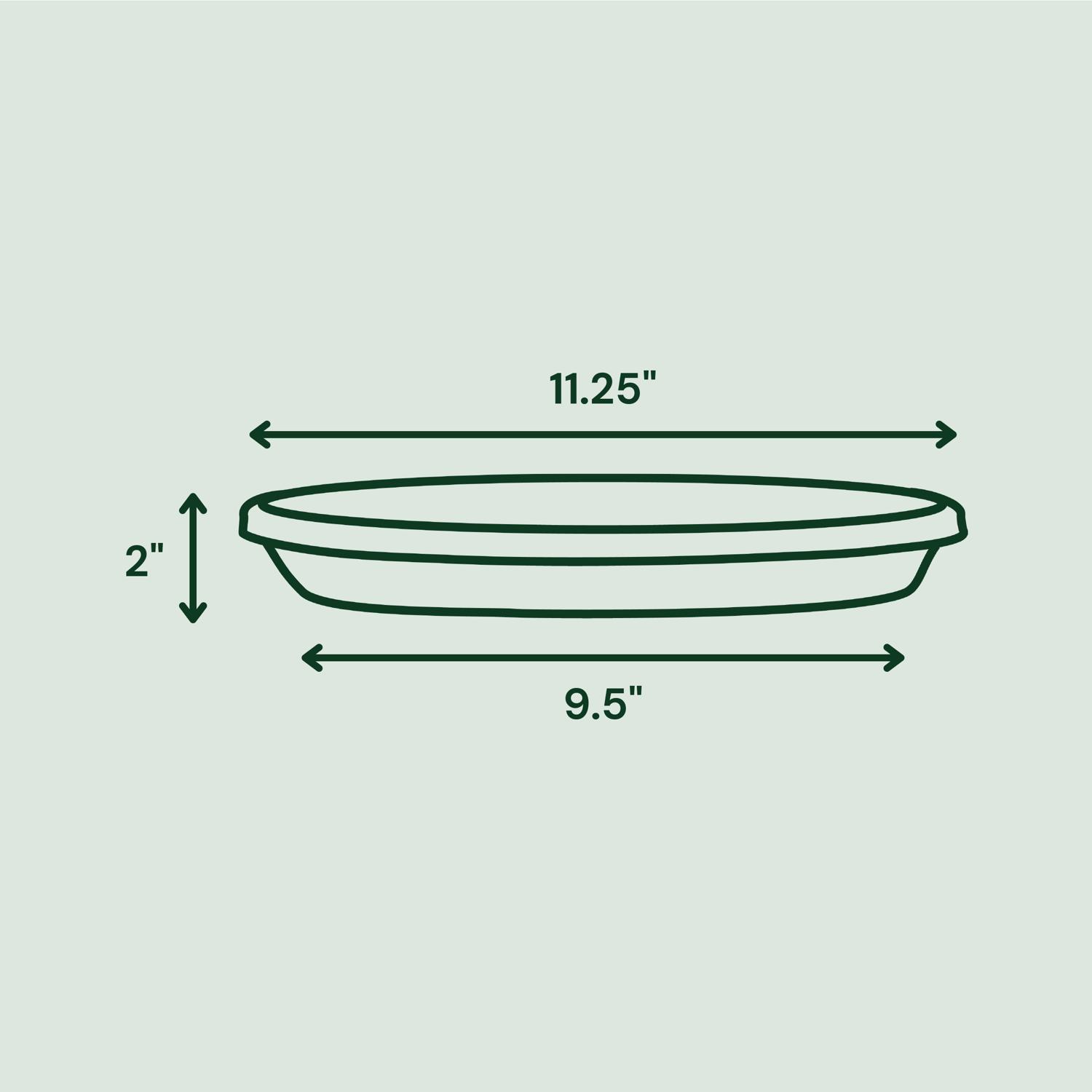 Bloem Terra 2 in. H X 11.25 in. W X 9.5 in. D Resin Traditional Plant Saucer Living Green