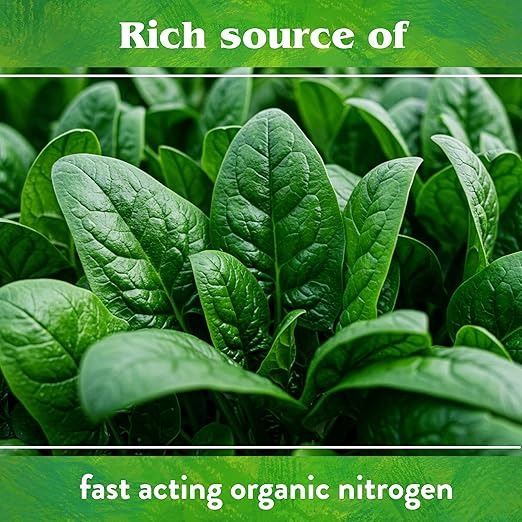 Down To Earth All Natural Fertilizers Organic Blood Meal - High Nitrogen Plant Food for Green Growth 12-0-0, 4 lb